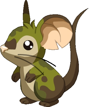 rodent mouse.png